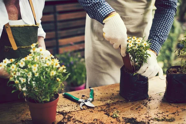 カップルの植栽と花を生ける — ストック写真