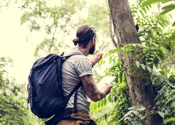 Biologe Wald Beim Betrachten Der Blätter — Stockfoto