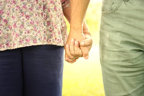 Olgun çift Park'ta yürüyordunuz ve elele, kırpılmış görüntü 