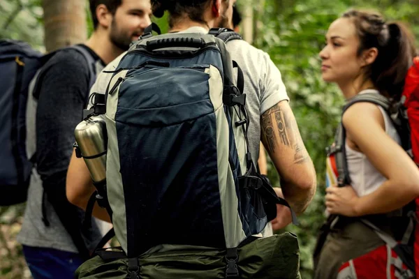 Amigos Com Mochilas Caminhando Por Uma Floresta — Fotografia de Stock