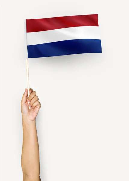 Pessoa Que Agita Bandeira Dos Países Baixos — Fotografia de Stock