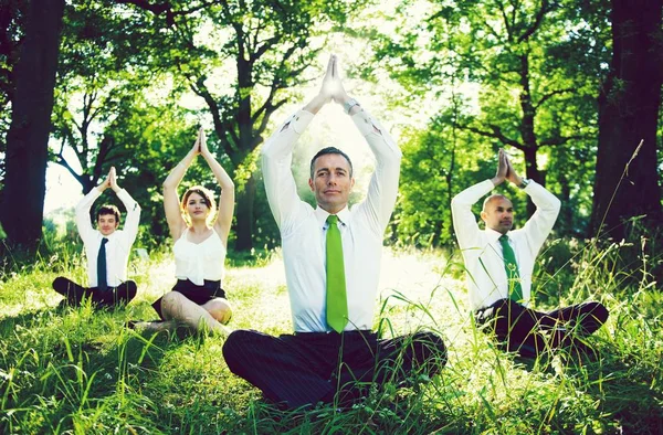 Mensen Uit Het Bedrijfsleven Doen Yoga Buiten — Stockfoto