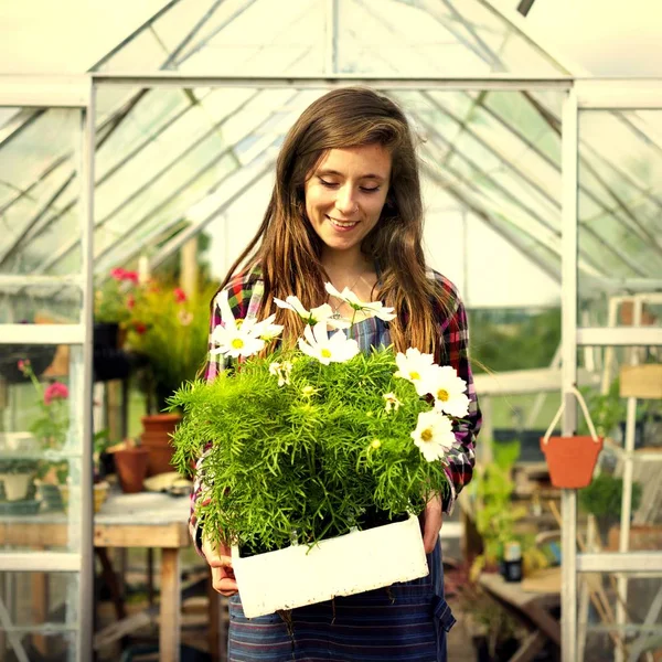 Frau Trägt Topf Mit Blumen Hinterhof Gartenpflanzen Auf Dem Land — Stockfoto