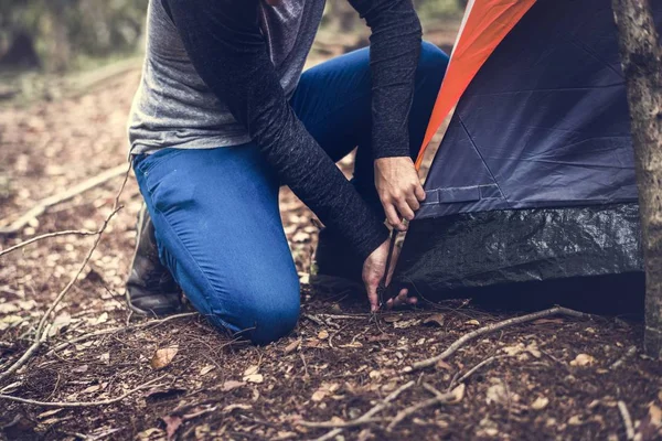 Kamperen Het Bos Samen Vrienden — Stockfoto