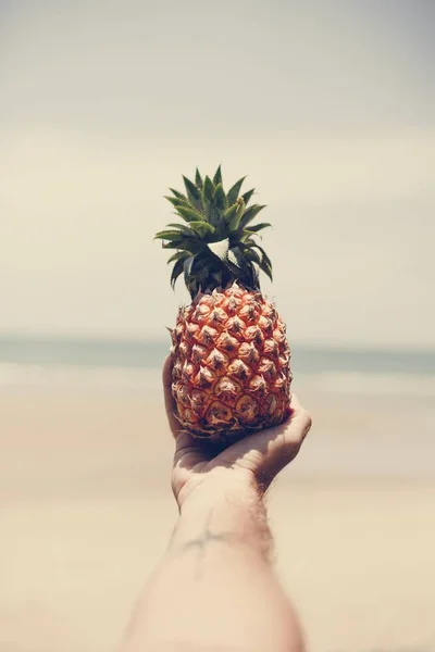 Bărbat Care Ține Ananas Plajă — Fotografie, imagine de stoc