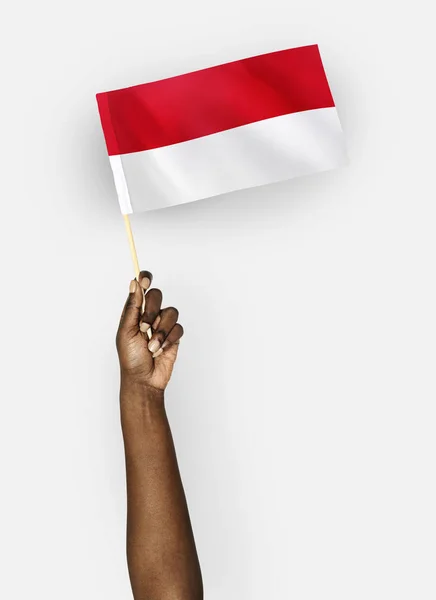 Person Waving Flag Principality Monaco — Stock Photo, Image