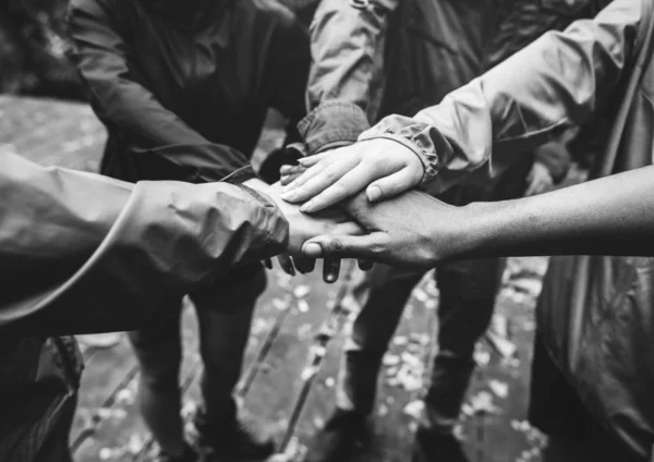 Team Building All Aperto Nella Foresta — Foto Stock