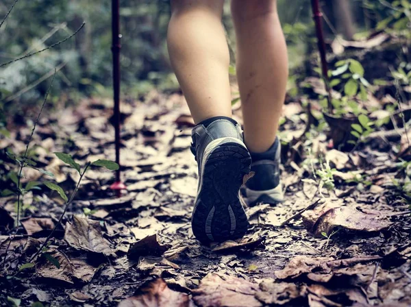 Teilansicht Menschlicher Beine Beim Spazierengehen Wald — Stockfoto