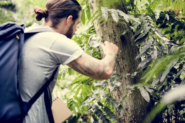 Biolog Lesie Patrząc Drzewo — Zdjęcie stockowe