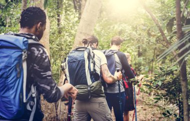 arkadaşlar bir ormanda yürüyüş