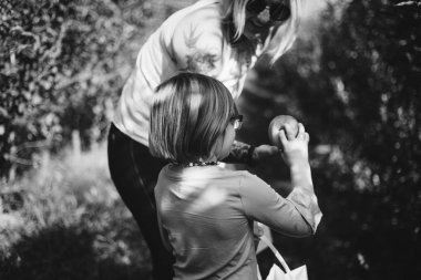 Anne ve bazı elma toplama kızım