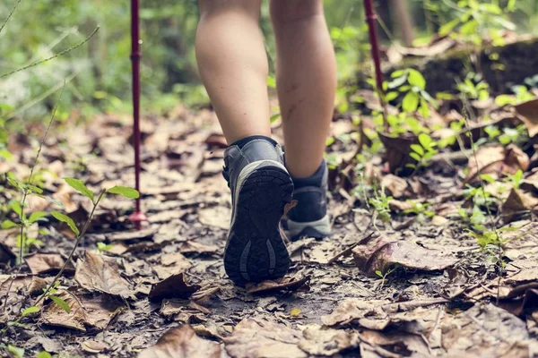 Teilansicht Menschlicher Beine Beim Spazierengehen Wald — Stockfoto