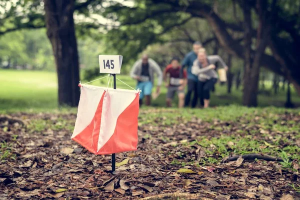 Orienteering Box Outdoor Forest — Stock Photo, Image