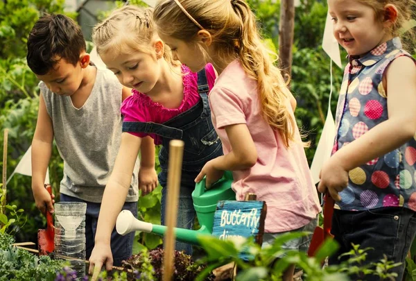 Kids Learning How Farm Garden — Stock Photo, Image
