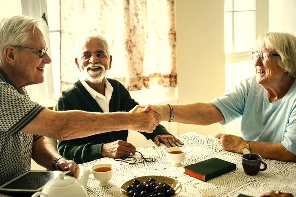 Seniors Shaking Hands Agreement — Stock Photo, Image