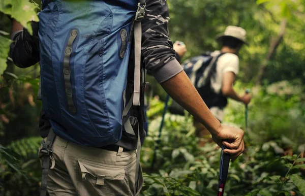 Visão Traseira Pessoas Com Postes Trekking Floresta — Fotografia de Stock