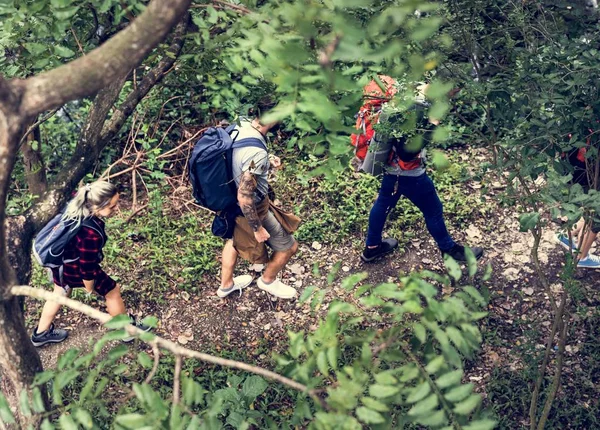 Amigos Caminhando Uma Floresta — Fotografia de Stock