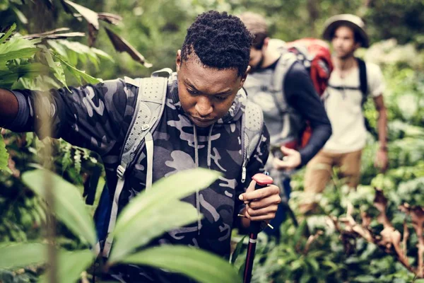 Männer Beim Trekking Wald — Stockfoto