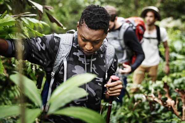 Les Hommes Trekking Dans Une Forêt — Photo