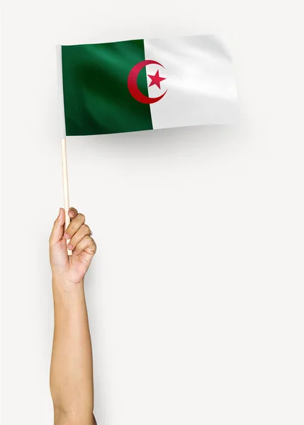 Person Waving Flag People Democratic Republic Algeria — стоковое фото