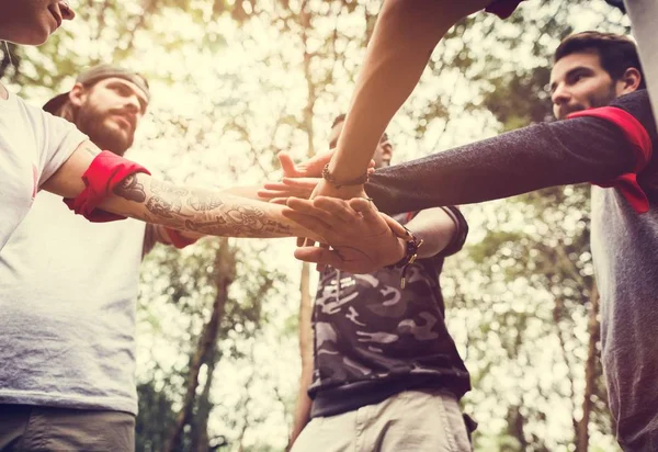 Freunde Zelten Gemeinsam Wald — Stockfoto