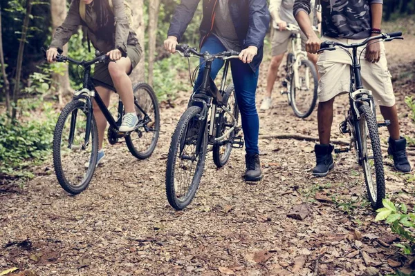 小组朋友一起乘坐山地自行车在森林里 — 图库照片