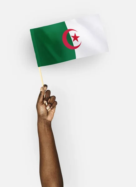 Person Waving Flag People Democratic Republic Algeria — стоковое фото