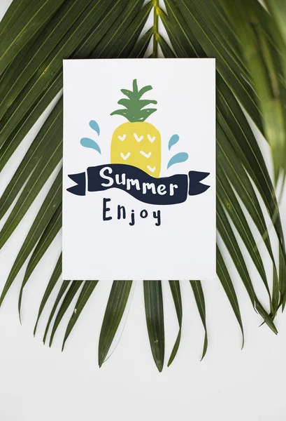 White Summer Poster Palm Leaf — Stock Photo, Image