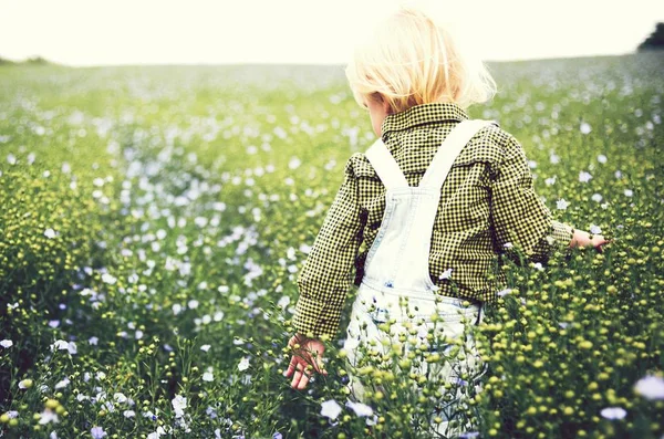 Junge Spielt Einem Blumenfeld — Stockfoto