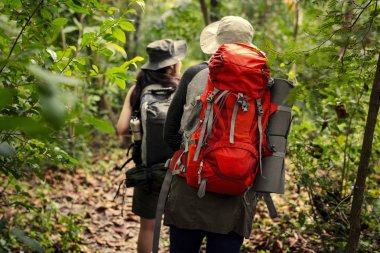 Arkadaş grubu bir orman yoluyla trekking sırt çantaları