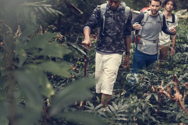 Erkekler bir ormanda yürüyüş