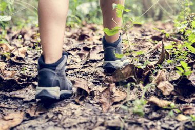 insan bacak ormanda yürürken kısmi görünümü 