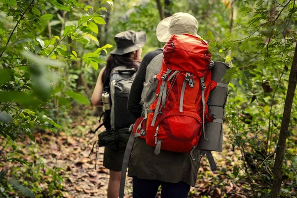 背包之友徒步穿越森林 — 图库照片