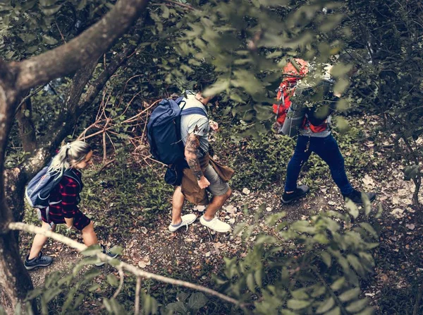 Freunde Wandern Wald — Stockfoto