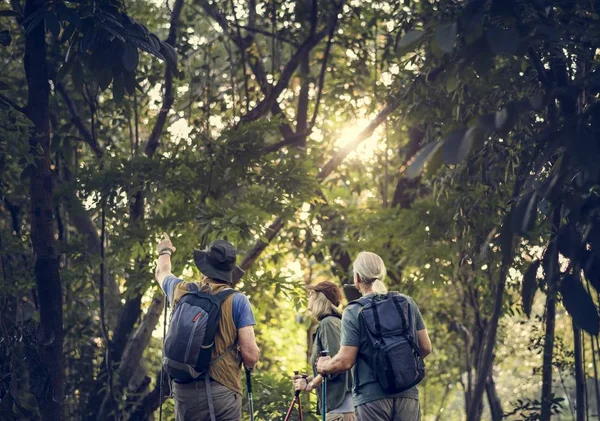 旅行者徒步旅行在夏天密林森林里 — 图库照片