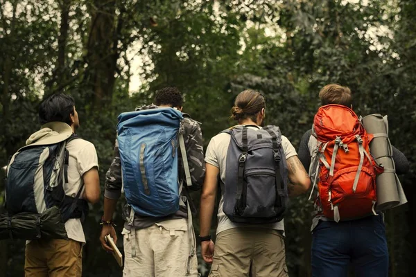 Amigos Con Mochilas Trekking Través Bosque Vista Trasera —  Fotos de Stock