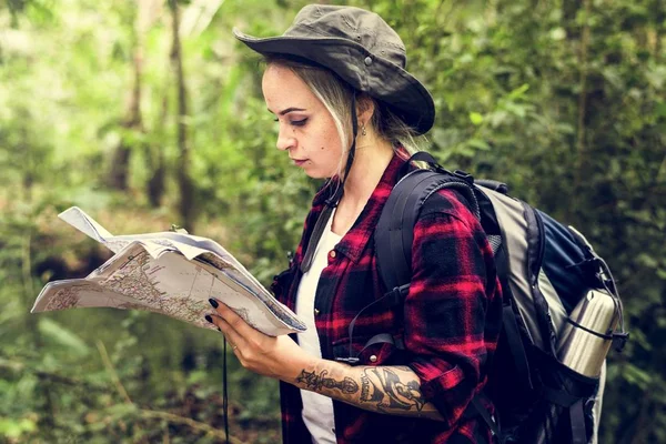 Kaart Controleren Het Bos — Stockfoto