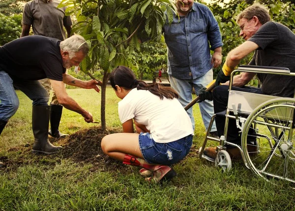 Grupo Personas Plantando Nuevo Árbol —  Fotos de Stock