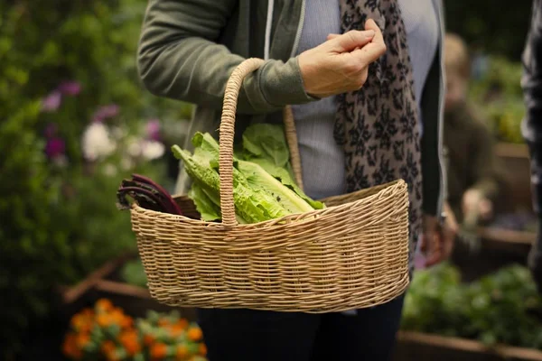 Femme Âgée Portant Panier Avec Des Légumes — Photo