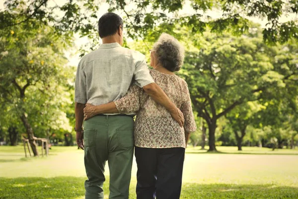 Achteraanzicht Van Volwassen Paar Wandelen Het Park Omhelzen Elkaar — Stockfoto