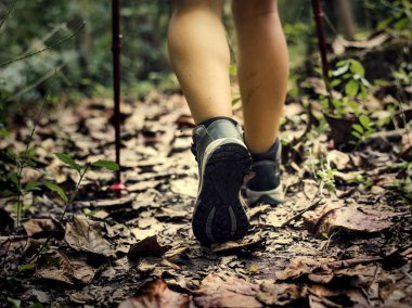 Trekking trekking Polonyalılar ile bir orman yoluyla bacaklar kısmi görünümünü uzun yürüyüşe çıkan kimse 