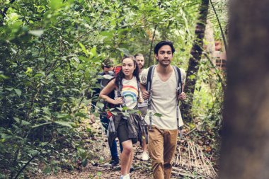 Bir ormanda yürüyüş