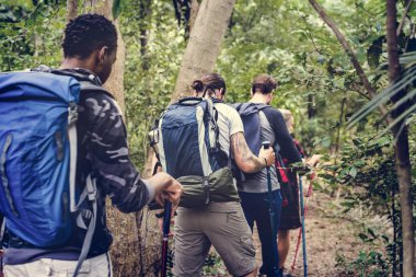 Erkekler bir ormanda yürüyüş