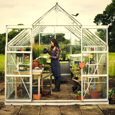 çiçek ve bitki arka bahçe, fide ve kırsal kavram olan kadın 