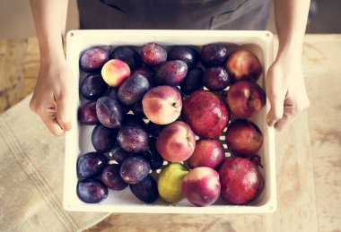 rganic meyve gıda fotoğraf tarifi fikir