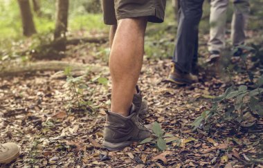 Ormanda yürüyüş insanlar