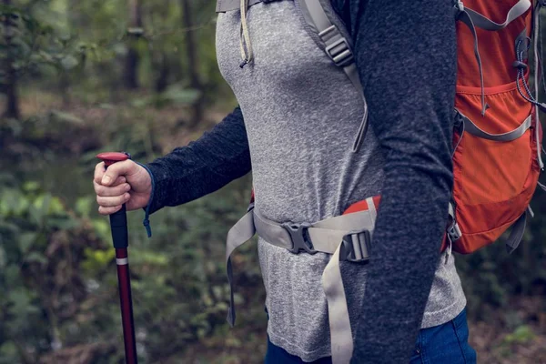 Touriste Avec Bâtons Trekking Dans Forêt — Photo