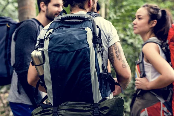 Wandelen Een Bos — Stockfoto