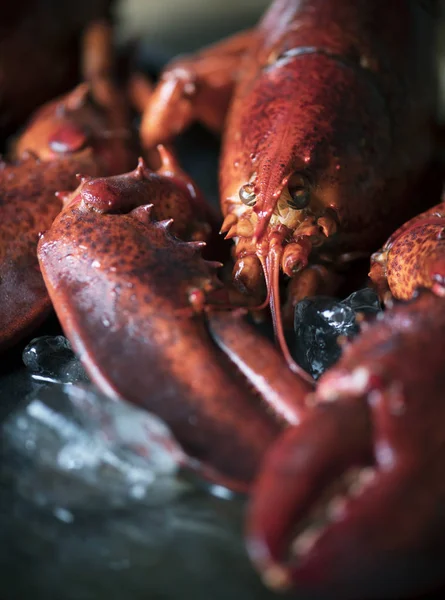 Homard Cuit Photographie Alimentaire Idée Recette — Photo