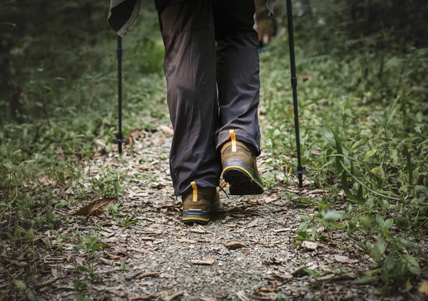 Ormanda Yürüyüş Bacak Resim Kırpılmış — Stok fotoğraf